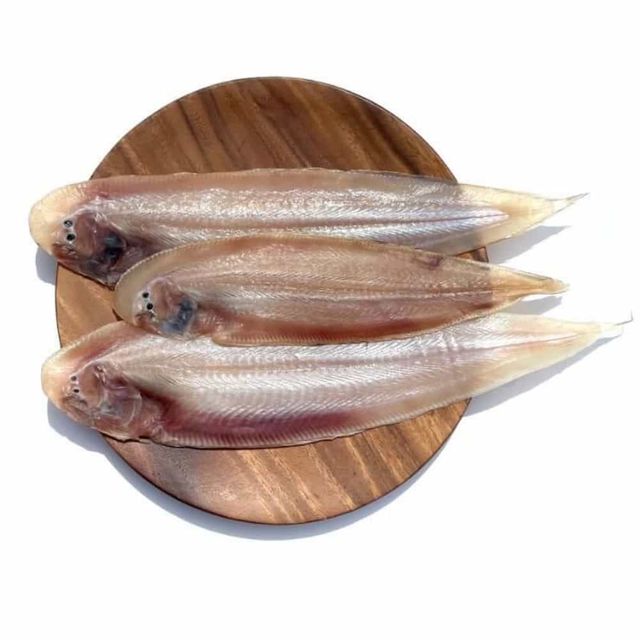 군산 반건조 박대 5미 소 생선반건조 말린생선