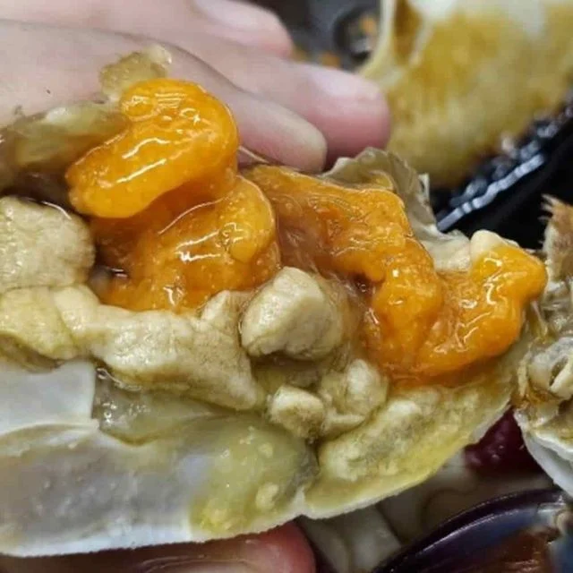 국내산 냉동 암꽃게 2kg 급냉암꽃게 꽂게 급냉꽃게 냉동게