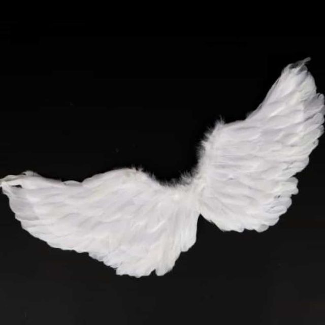 여자코스튬 코스프레날개 천사소품 파티 코스튬 천사날개 중