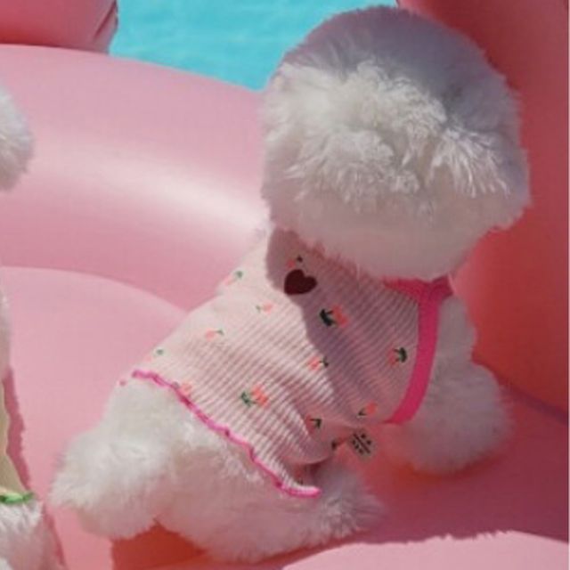 강아지 컬러 앵두 크롭 나시티 핑크 2XL 1P 휴가룩