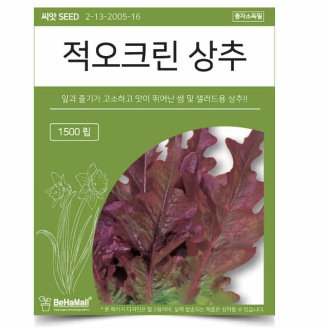 적오크린 상추 씨앗 1500립 정원용품 희귀씨앗