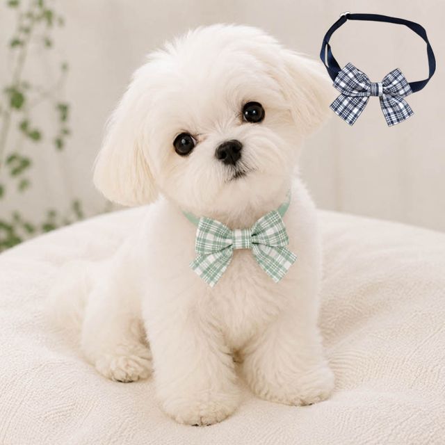 강아지 체크 보타이, 둘레조절 나비넥타이