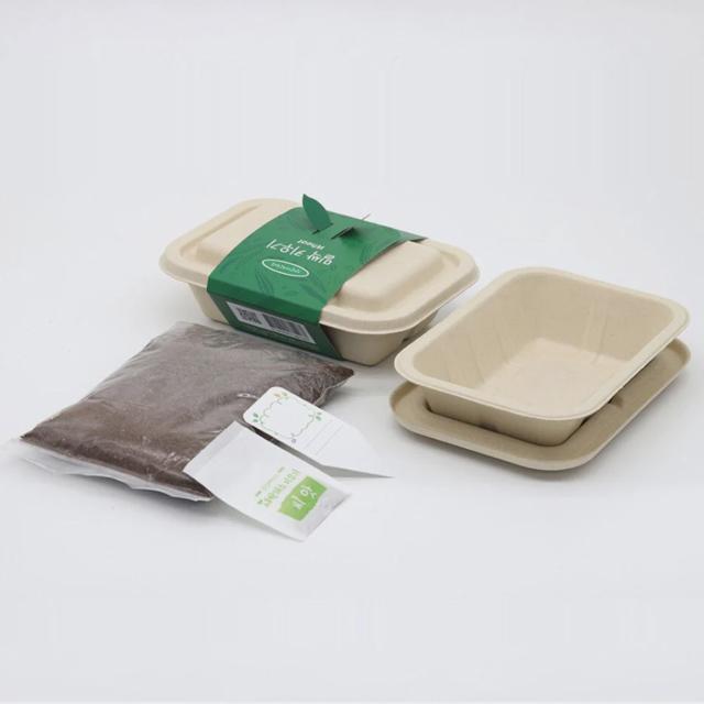 나만의 야채 텃밭 밀 재배 모음 키트