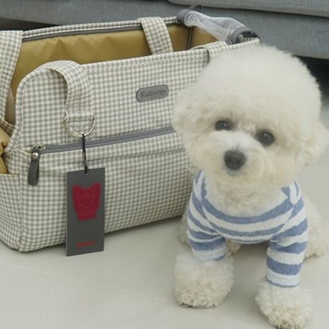 아몬드다크그레이 강아지이동가방 레일 이동가방