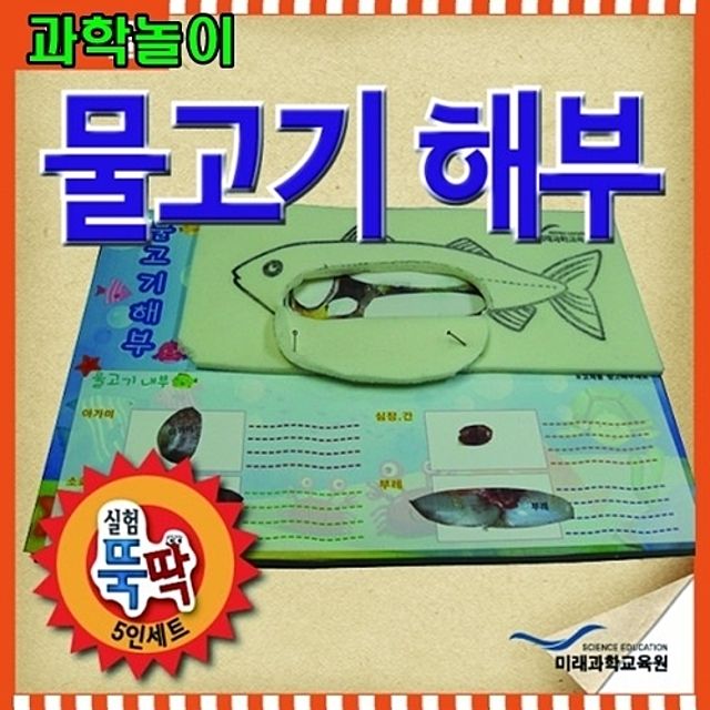 과학놀이 물고기해부 5인용
