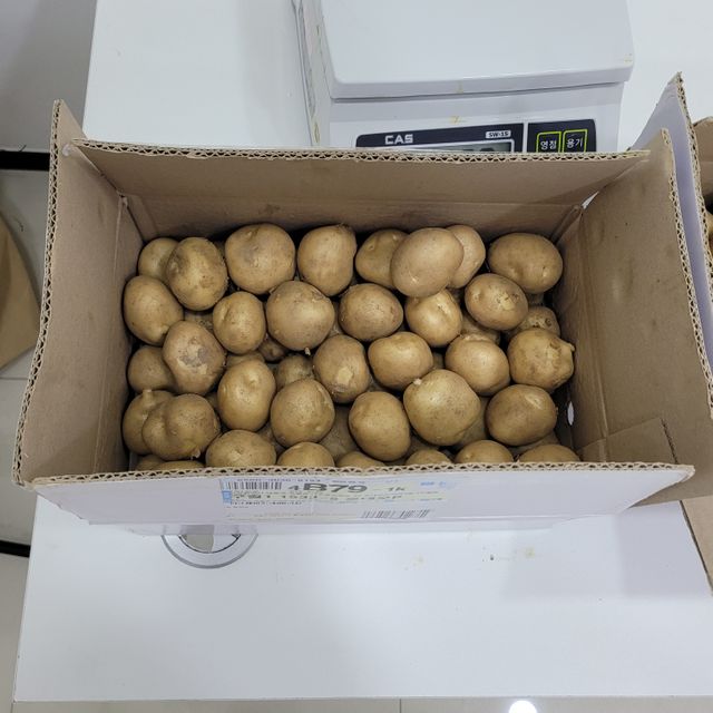 보성 수미감자 10kg/중/50~70g내외