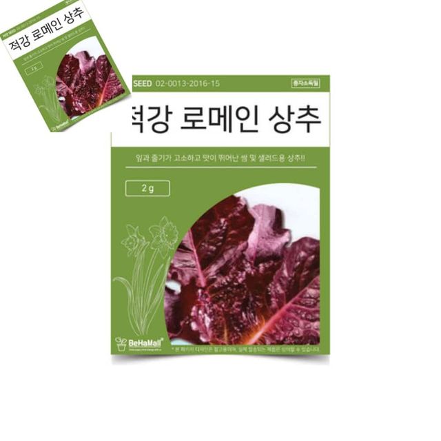 텃밭 채소 씨앗 적강 로메인 상추 로메인상추씨앗 유럽상추씨앗 야채씨앗 텃밭용품