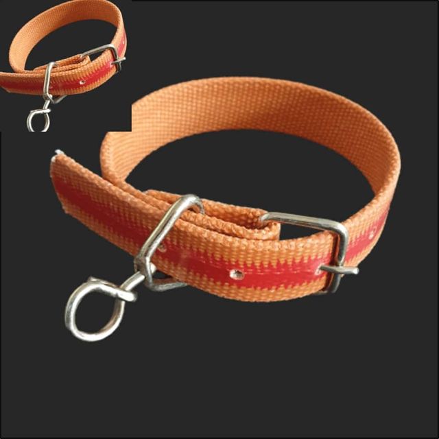 밸트 삼각슈밸 개목줄 30mm 50cm 강아지 목걸이 목줄 대형견 중형견 러프웨어목줄 강아지목줄세트 강아지목
