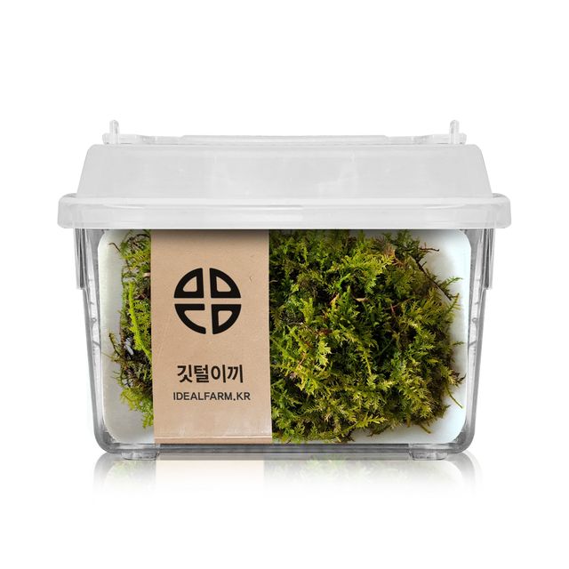 깃털이끼 관찰 실험 키트