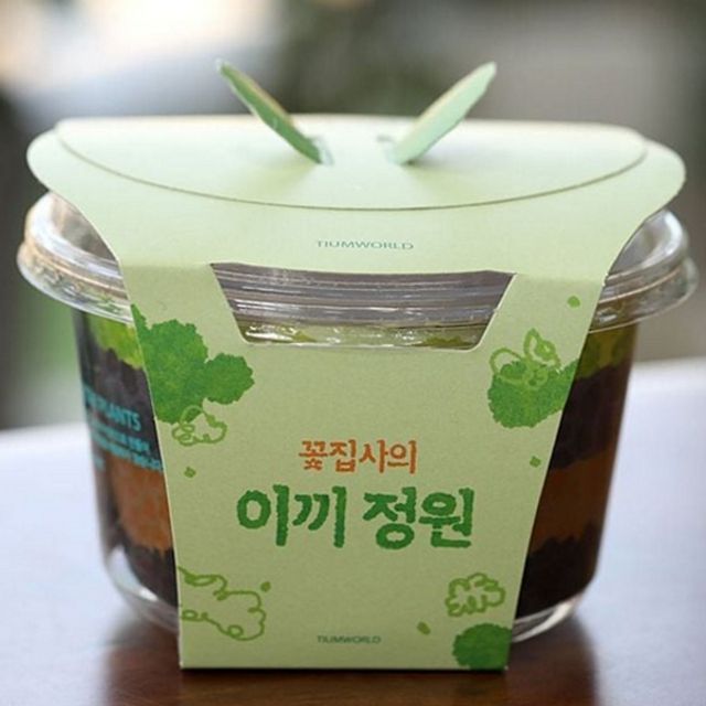 양지 이끼 테라리움 가습 이끼 키우기 화산사 정원 세트