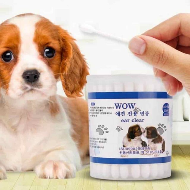 면봉 80p 강아지면봉 반려견귀청소 귓밥제거 애견용품