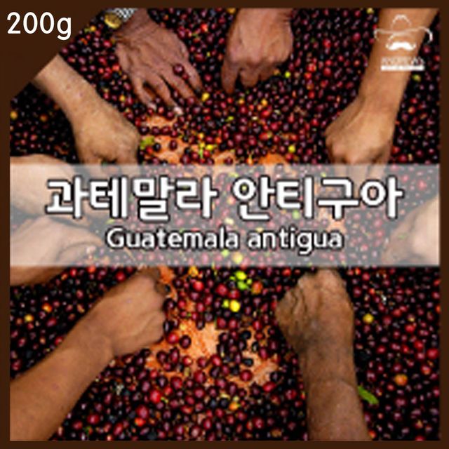 과테말라 안티구아 200g 당일로스팅 원두 커피 분쇄