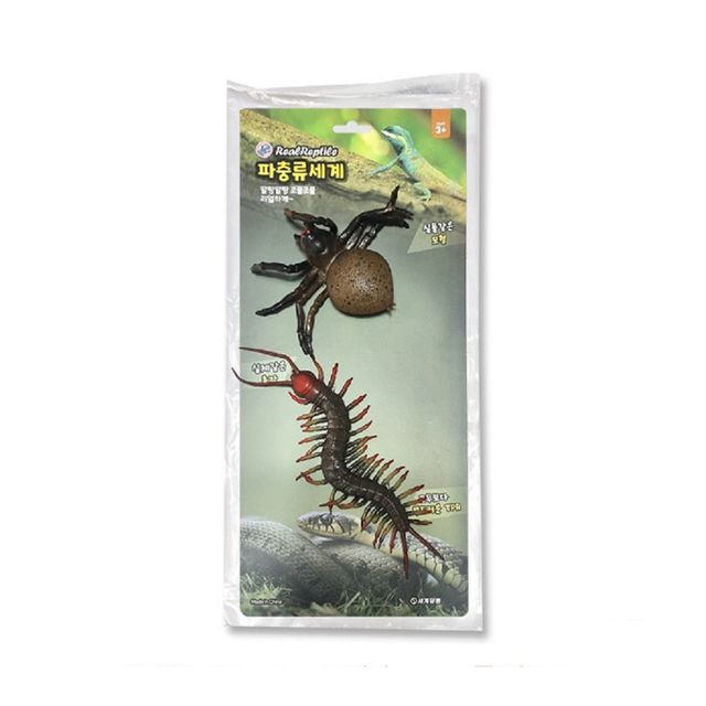 2p 왕거미+왕지네 피규어 모형 자연학습 학습완구