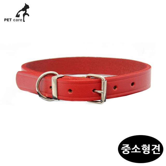 1.5cm 레드 가죽목줄 x 중소형견 크라마 40cm