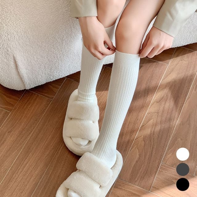 기본 골지 스타일 밴딩 깔끔 데일리 니삭스 양말