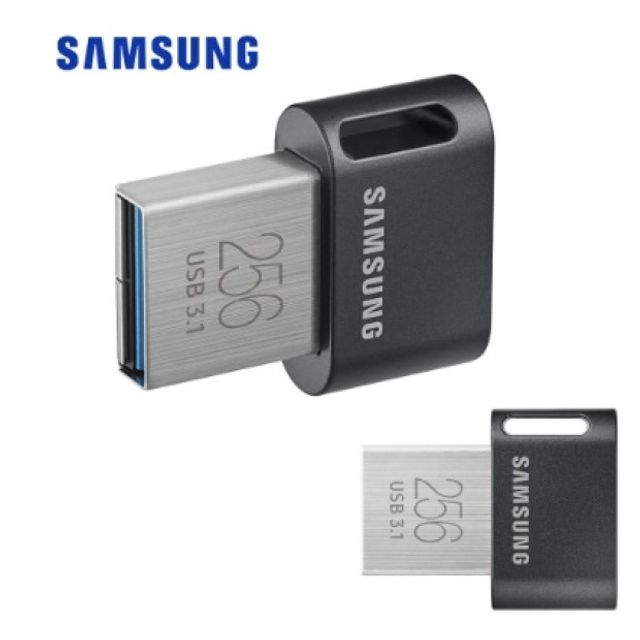 FIT Plus USB 3.1 Flash Drive MUF-AB 256GB 유에스비