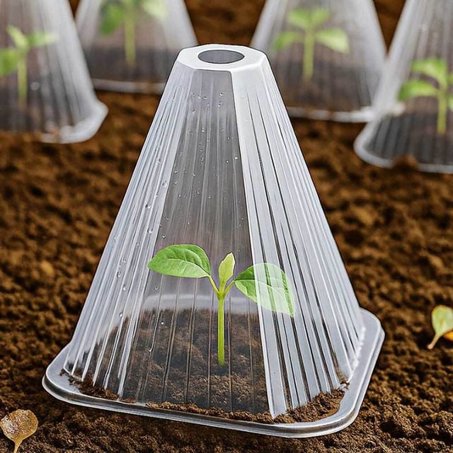 쑥쑥 식물 모종 보호 커버 100p세트(17cm) (투명 고깔) 플라스틱 묘목
