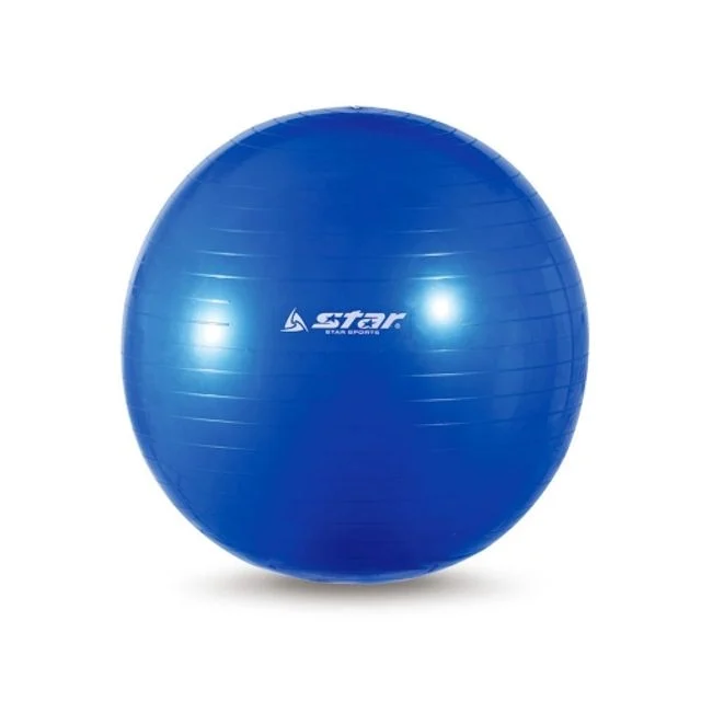 혜명몰 스타 짐볼 EB240-07 블루 55cm - 개 (1개입) 필라테스공 요가볼 필라테스짐볼 가정용운동기구 밸런