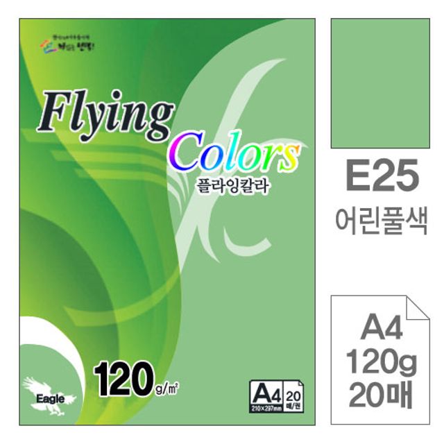 컬러복사지 A4 120g 어린풀색, 플라잉칼라 20매입 10개