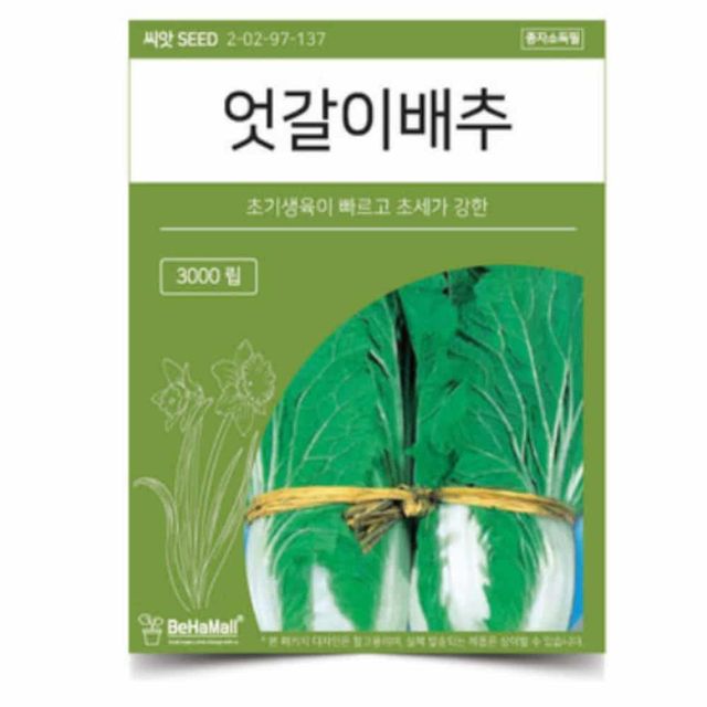 엇갈이배추 씨앗 3000립 실내텃밭 베란다가드닝