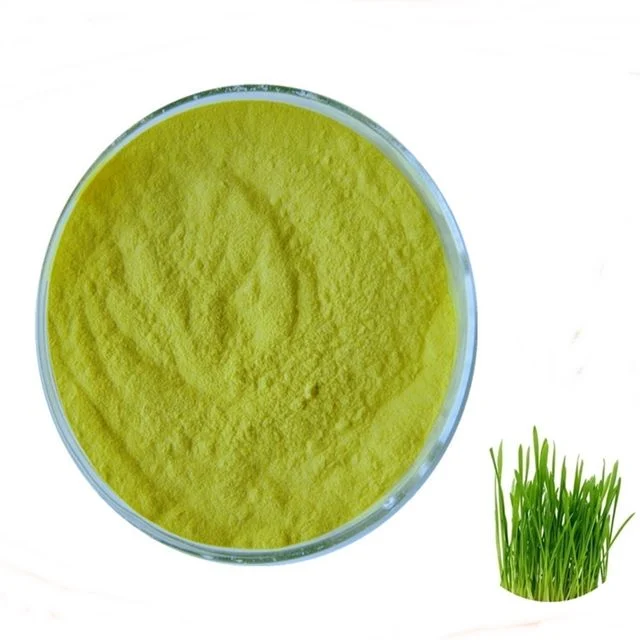 새싹보리추출분말 1kg
