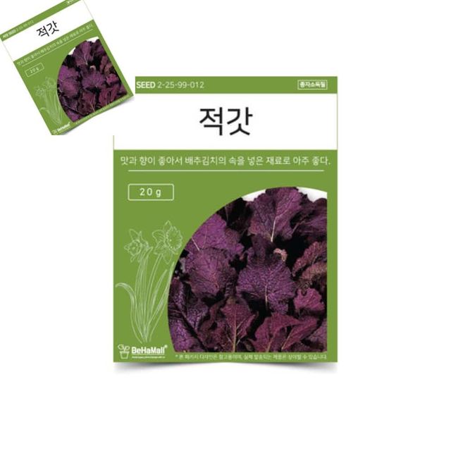 텃밭 채소 씨앗 적갓 적갓씨앗 야채씨앗 채소종자 씨앗종자