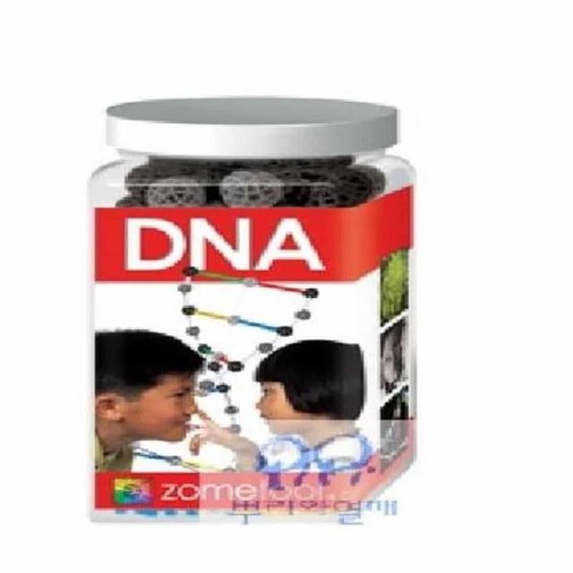 조노돔 DNA 키트 수학교구 어린이교구