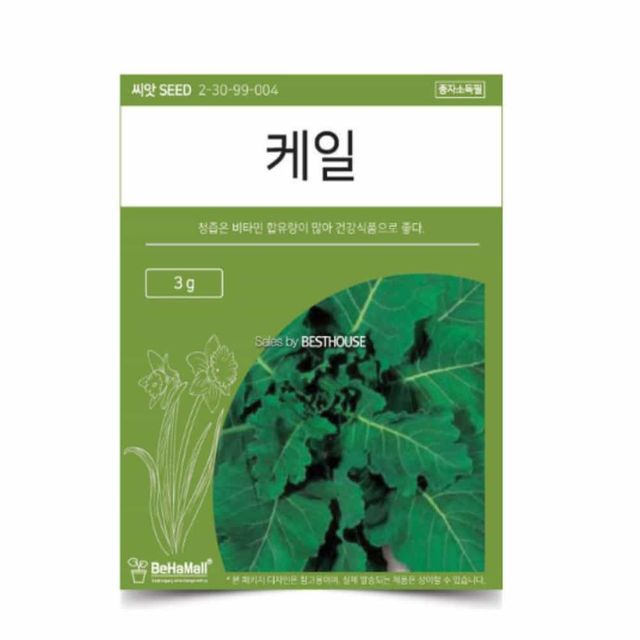 텃밭 채소 씨앗 케일 텃밭식물 쌈채소씨앗 케일씨