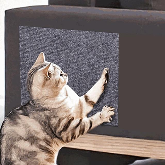 고양이 스크래치 패드 30x29 벽 스크래쳐 DD-12823
