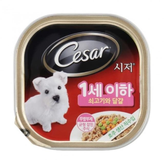 시저 쇠고기와 달걀 1세 이하 강아지용 캔 100g