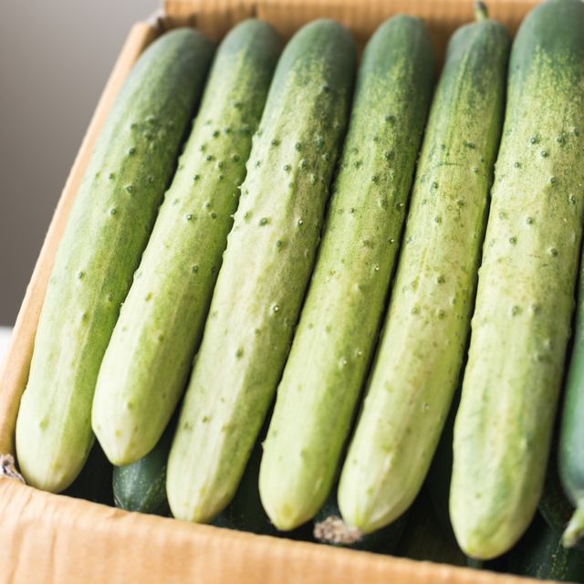국내산 백다다기오이 특품 / 2kg (10~15개 내외)