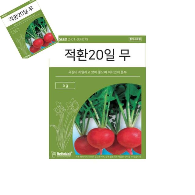 텃밭 채소 씨앗 적환20일 무 무우씨 무씨앗 무종자 무키우기