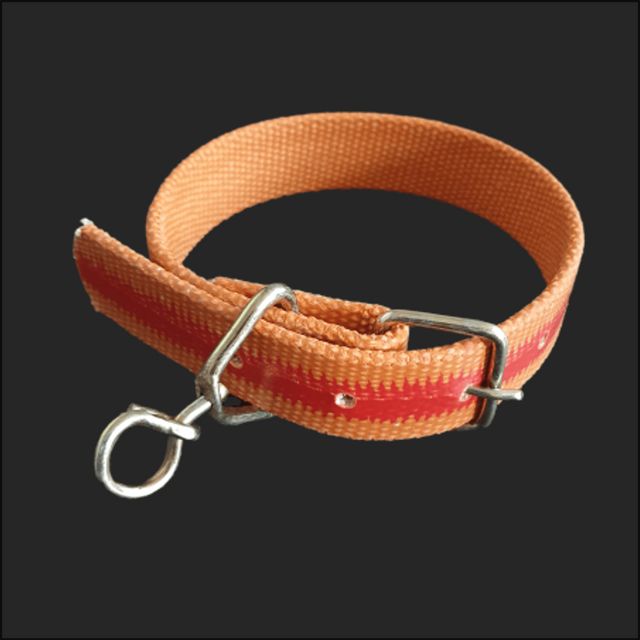 혜명몰 밸트 삼각슈밸 개목줄 30mm 60cm 강아지 목걸이 목줄 대형견 중형견 러프웨어목줄 애견 진돗개 시골
