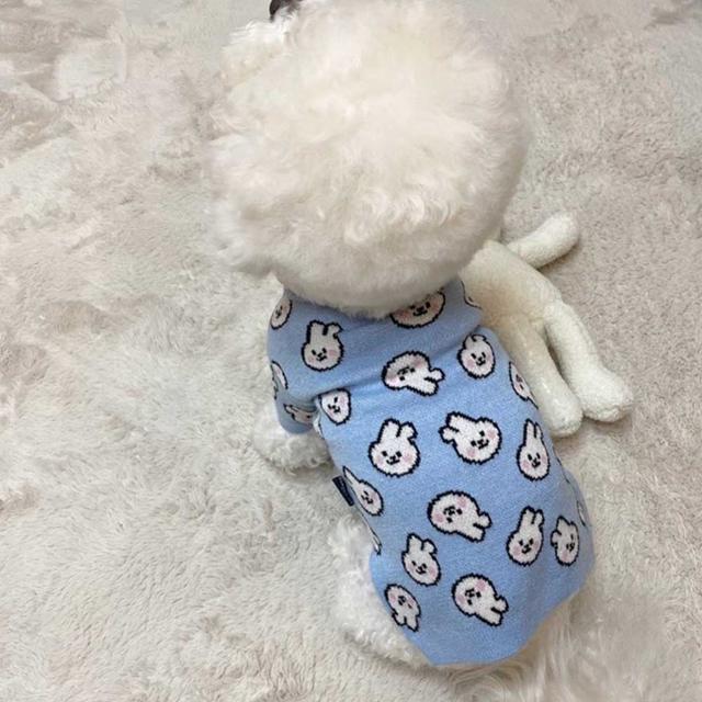 강아지 봄 가을 겨울 데일리 실내 니트 티셔츠