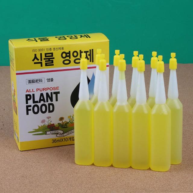 수목 화초 식물 영양제 비료 10p - 가정용 원예 용품