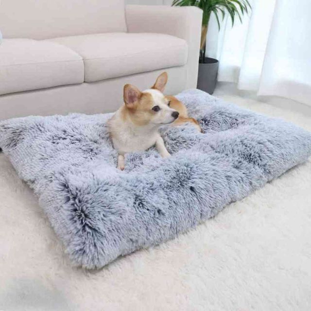 강아지 고양이 펫쿠션 80x55cm 고양이방석 반려동물쿠션