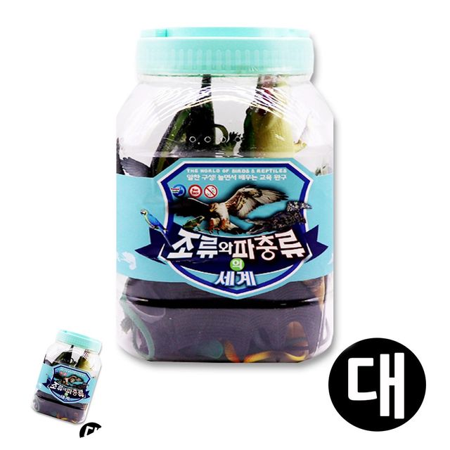 동물교육세트 동물학습세트 조류와파충류 대