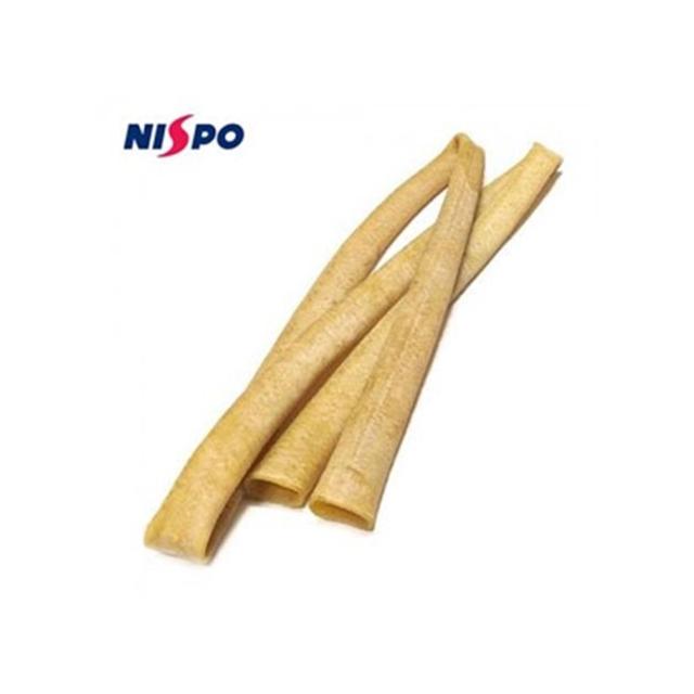 트레이닝튜브 NTT5250 (중급자용) 폭5cm 길
