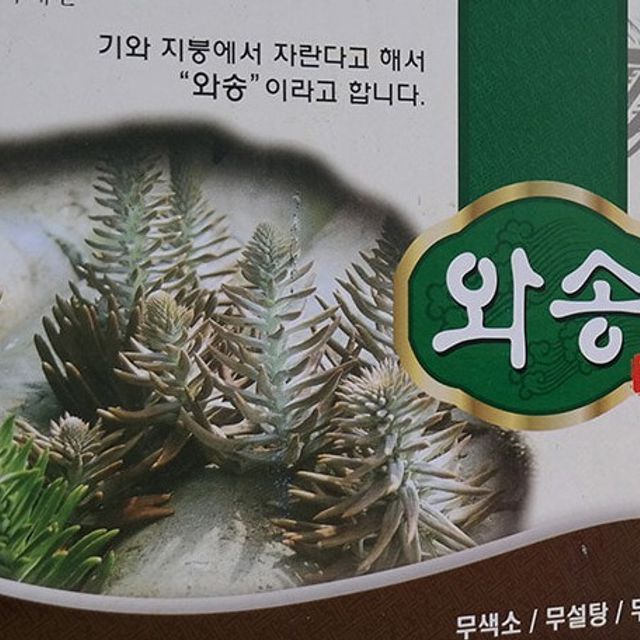 건강한 하루 와송즙 100ml 60포OM
