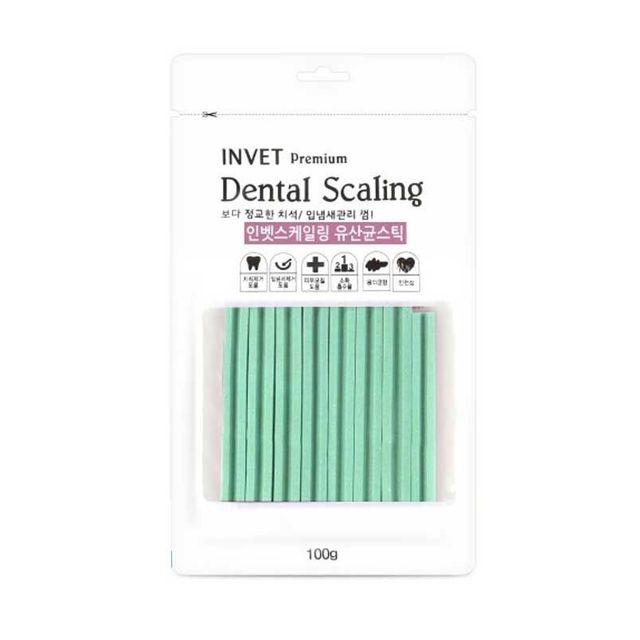 인벳 덴탈 스케일링 유산균스틱 100g 별 10팩 1타