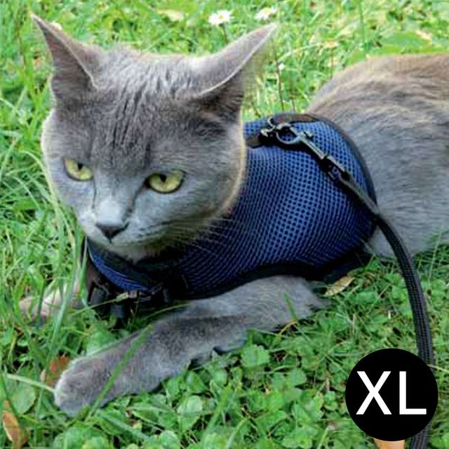 하네스 XL 조깅 네이비 고양이.강아지용 퍼프라스트