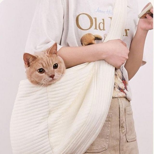 고양이 이동가방 포대기 강아지 고양이 슬링백 반려동물 가방