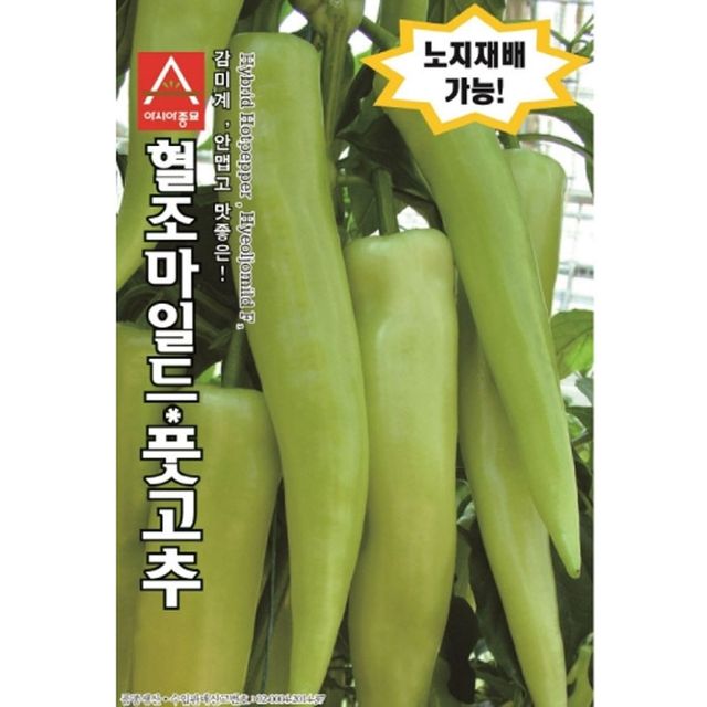 고추씨앗 혈조마일드 10립 종자