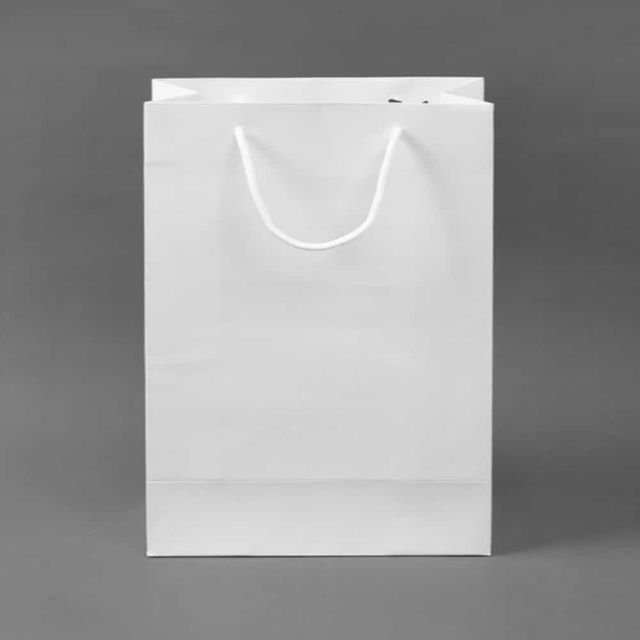 페이퍼백 고급쇼핑백 무지 세로 쇼핑백 10p