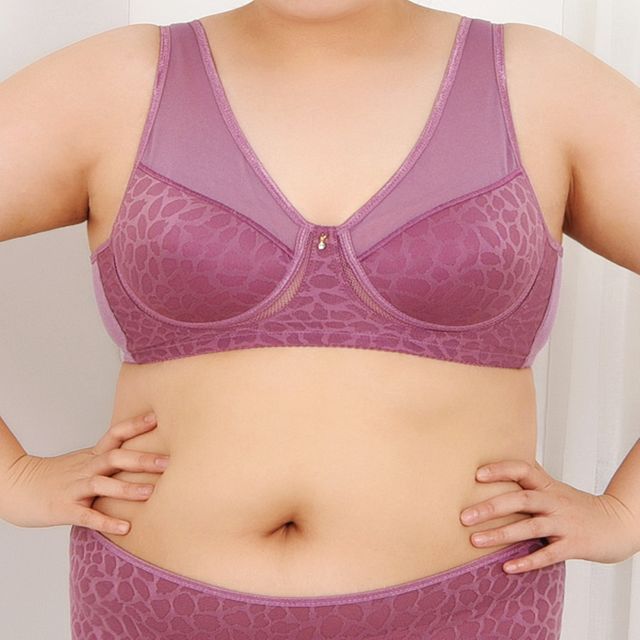 호피패턴 메쉬 몰드 조끼 날개 브래지어 B컵