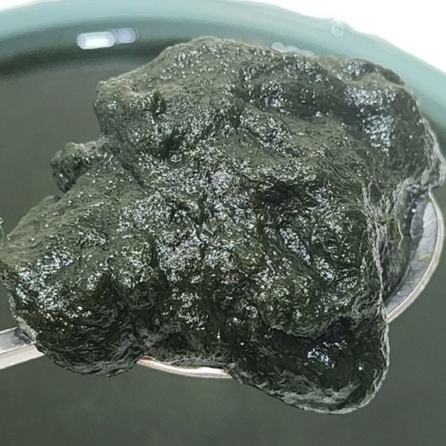 혜명몰 국내산 매생이 400g 겨울제철음식 해조식품 냉동해초 바다해초 냉동매생이
