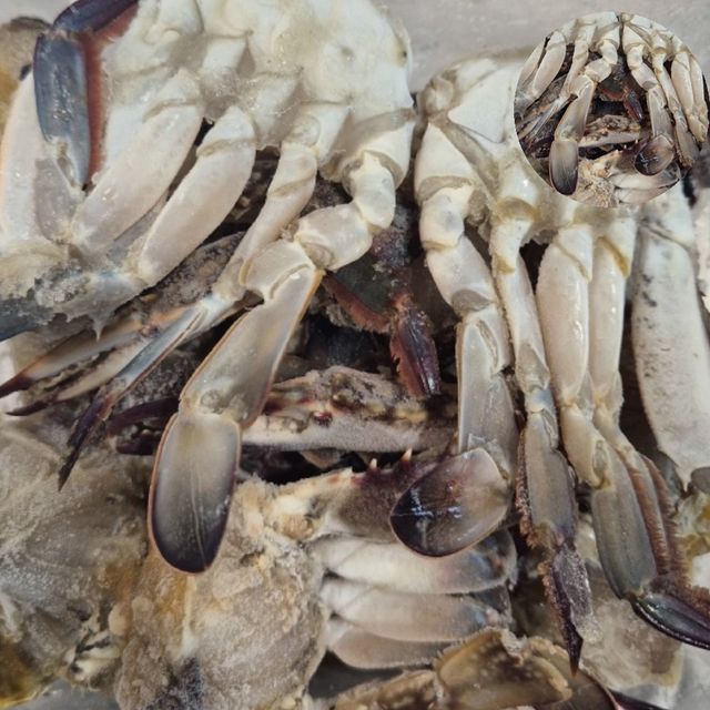 급랭꽃게 양념게장 냉동 절단 꽃게 750g