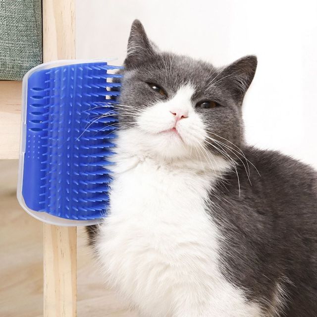 애묘용품 애견미용빗 PET 고양이 브러쉬 코너 부착 셀프
