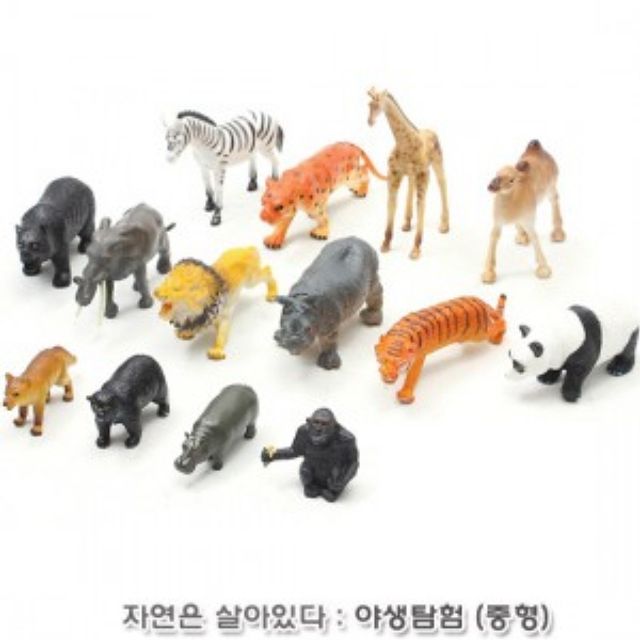 자연은살아있다 야생탐험 (중형 815826A)