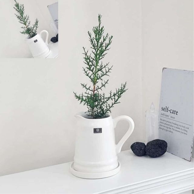 도기 화분 티포트 10x17cm 주전자화분 도자기화분 실내화분 디자인화분